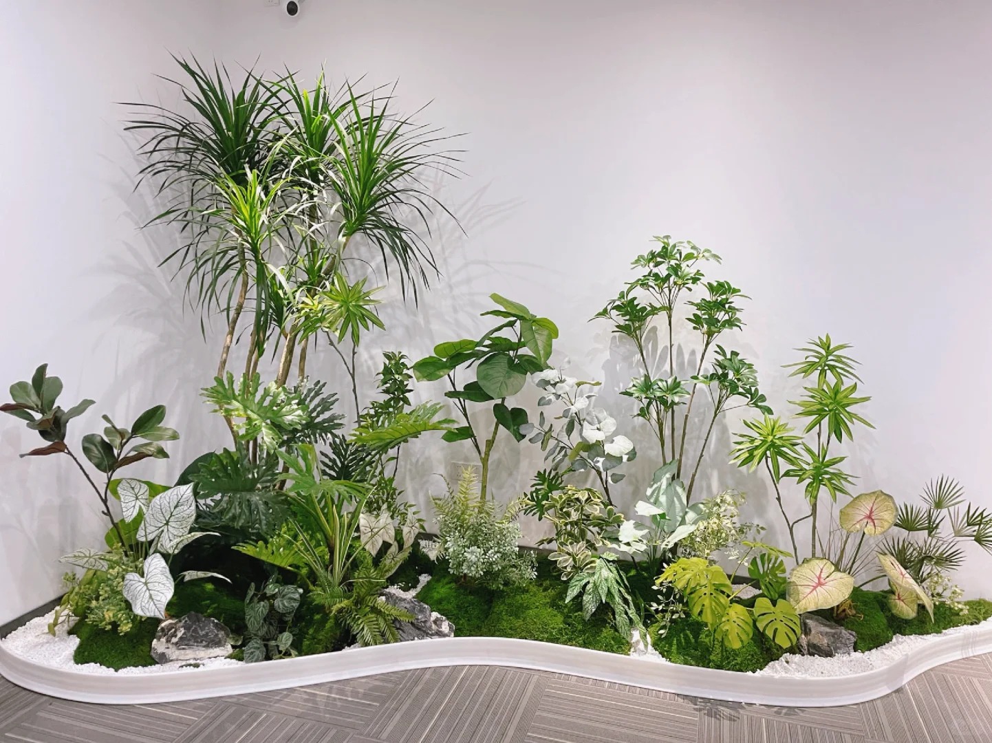 优质植物出租在镇海，服务贴心，快来看看！